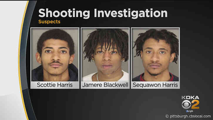 New Details Emerge In Green Tree Shooting And Attempted Carjacking
