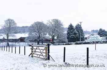 More snow predicted on New Years Eve
