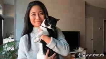 For Osie the rescue cat, 2020 was just perfect