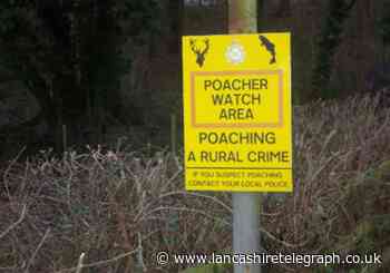 Poaching increase sees more patrols in Pendle