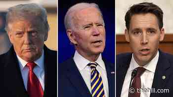 The Memo: Toxic divide grew deeper in 2020