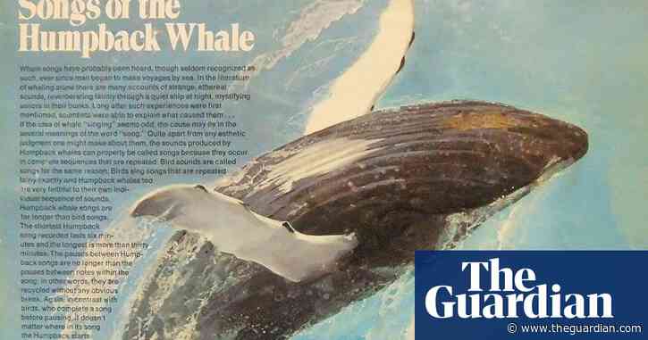 Calls from the deep: do we need to Save the Whales all over again?