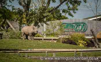 Tier 4: Can you still visit Chester Zoo?