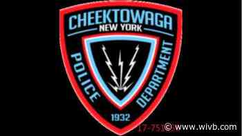 Two Cheektowaga Police officers rescue dog from creek