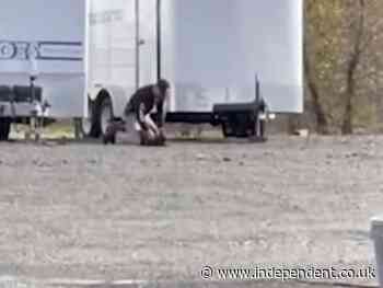 Investigation launched after California officer filmed punching police dog