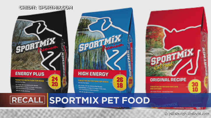 Pet Food Recalled Over Toxic Mold Linked To Deaths Of 28 Dogs