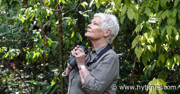 Winter TV Preview: 21 Shows to Watch