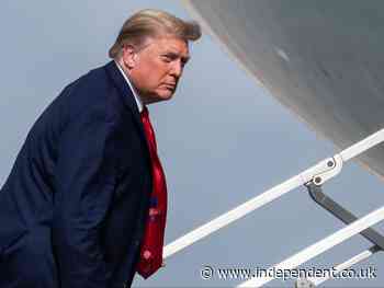 Trump ‘did not want anyone tested for Covid unless they were in hospital and vomiting’