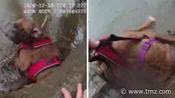 Body Cam Shows Cops Rescuing Lost Dog from Frigid Creek