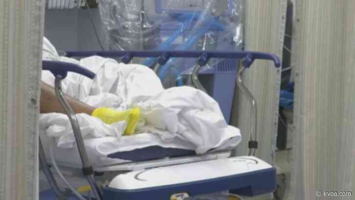 CDC predicts 80,000 COVID-19 related deaths over the next three weeks