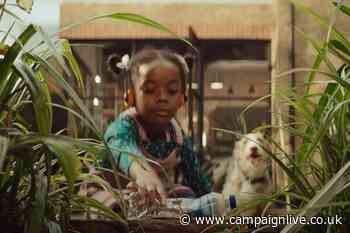 Ikea bids to make frugality fashionable in campaign promoting eco-conscious life
