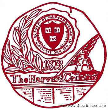 Arts Vanity: How to be the Quirky Best Friend in a Trashy Rom-Com: A Comprehensive Guide | Arts - Harvard Crimson