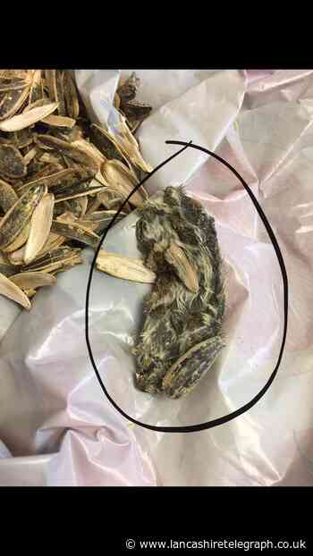 Man's shock as he finds dead RAT in packet of sunflower seeds