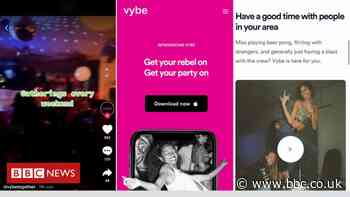 Apple removes app promoting private parties in pandemic