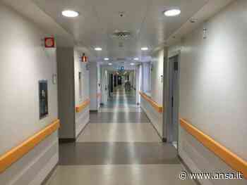 Grandine a Modena, infiltrazioni in Hub del Policlinico - Agenzia ANSA