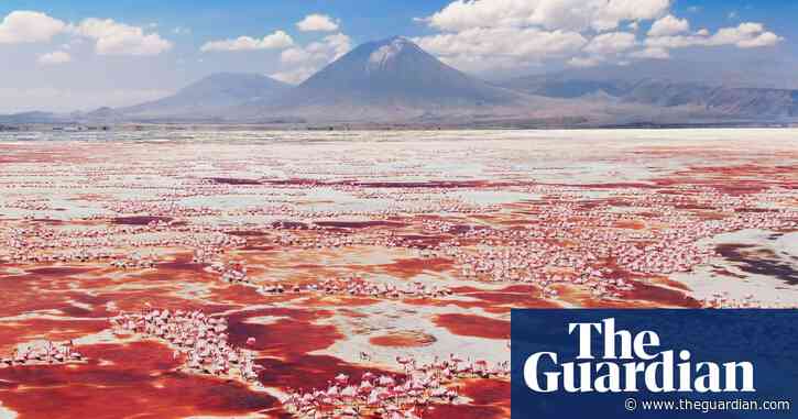 'Like a mission to Mars': making David Attenborough's A Perfect Planet