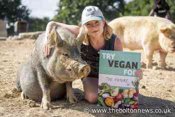 What is Veganuary? Everything you need to know