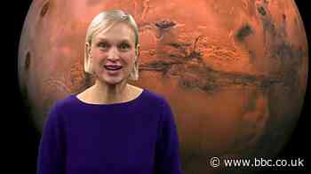 Lookahead 2021: What's happening in the world of science?