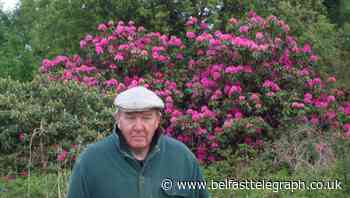 Man arrested in connection with pensioner murder