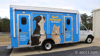 Cumberland County Animal Services rolling out new mobile adoption van in the spring