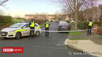 Dublin: Man dies after being shot by police