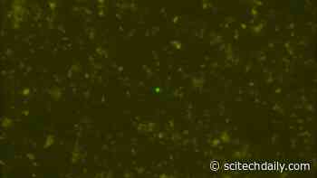 Life Discovered in Deep Ocean Sediments at Temperatures Above Water’s Boiling Point