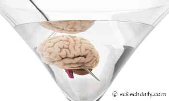 Experts Warn: Drinking Alcohol Linked to Decline in Brain Health From Cradle to Grave