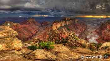 Fotografien von Steinen und Sternen | NDR.de - Kultur - Kunst - NDR.de