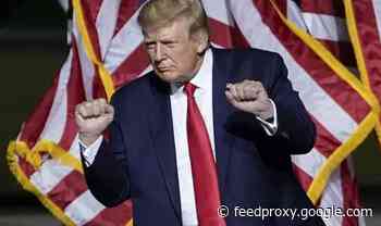 Terrified US Businesses prepare for violence with Donald Trump New Year's protest IMMINENT