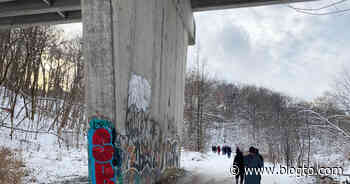 This picturesque ravine in Toronto was nearly lost to the Spadina Expressway - blogTO
