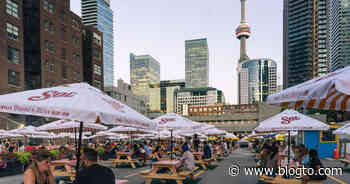 10 things that made life in Toronto more bearable since the start of the pandemic - blogTO