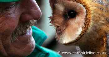 Kielder Water Bird of Prey Centre flying solo in lockdown