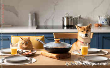 FDA recalls dog and cat food for aflatoxin risk