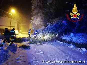 Troppa neve, cedono gli alberi, strade bloccate - Toscana Media News