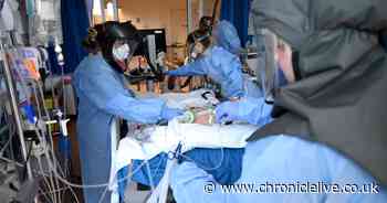 North set for fresh wave of Covid-19 as mutant strain continues to spread