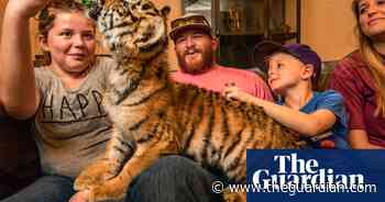 The best of the 2020 wildlife photography awards