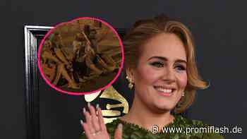 Unbeobachtet? Neues Schlank-Pic von Adele aufgetaucht - Promiflash.de