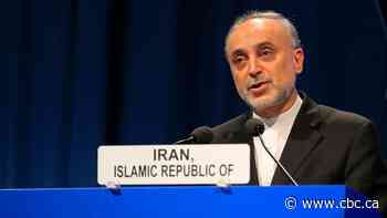 Iran plans 20% uranium enrichment 'as soon as possible'