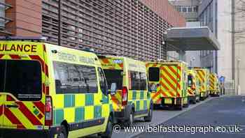 Paediatricians ‘not seeing significant pressure from Covid in children’s wards’