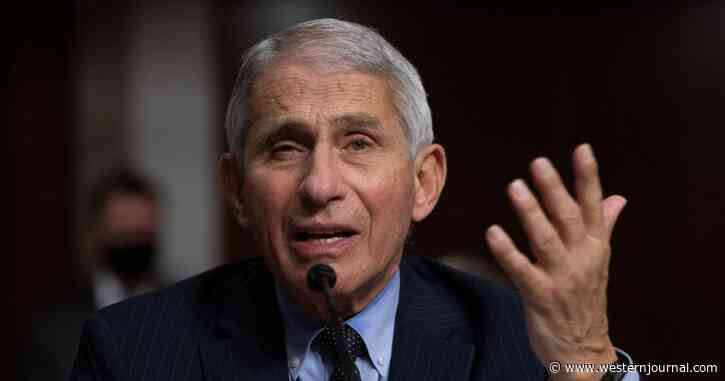 Andrew Pollack: Our Public Health Officials Have Literally Lied to Us in Order To Kill Us
