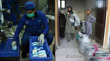 Afghan dairy entrepreneur walks political tightrope to stay afloat - Yahoo News UK