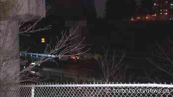 One person dead after single-vehicle crash in Hamilton