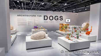 Architecture for Dogs – virtual tour - IanVisits