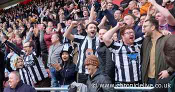 It wasn't all doom and gloom! 10 positive photos from 2020