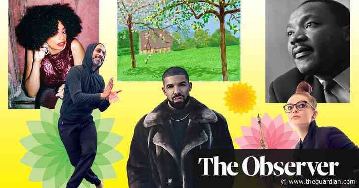 New year arts: Observer critics pick the culture to get us through to spring