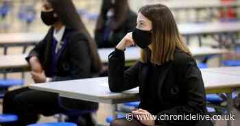 Teachers could strike over plans to reopen schools from Monday