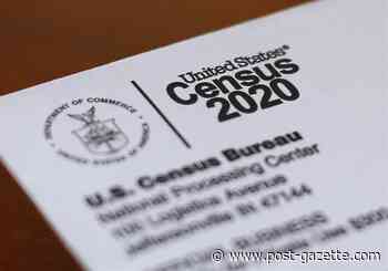 Survey vs. census: Understanding how the federal government counts us