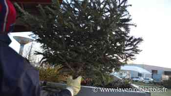 Pratique : À Arras, quand et comment se débarrasser de son sapin? - L'Avenir de l'Artois