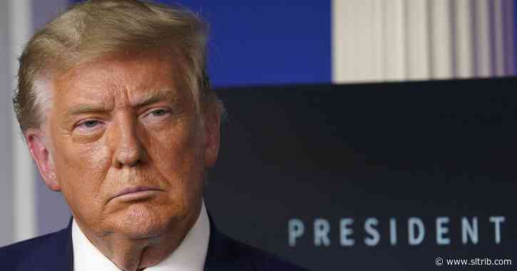 Alexandra Ziesler: Trump was the right president at the right time