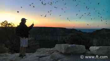 7 gadgets to love this week - Financial Times